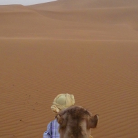 Kamelausritt mit Wüstensohn